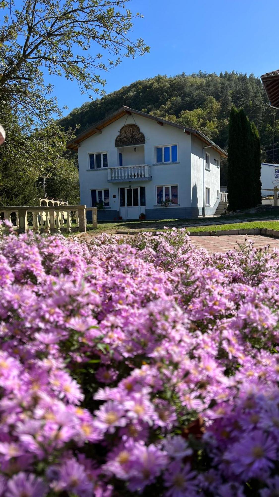 Vacation Home Yoanna Tryavna Bagian luar foto